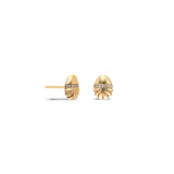 "Bahía" Micro Shell Single Stud Earring